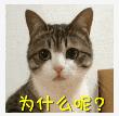 DƬ